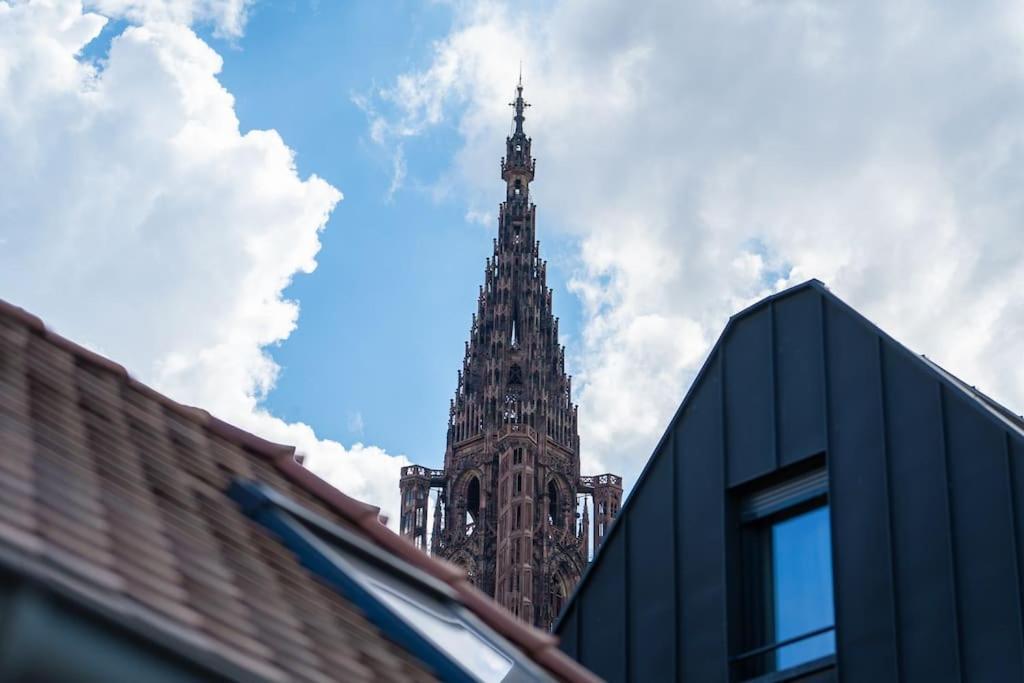 Le Carre D Or Appartement Terrasse Vue Cathedrale Страсбург Экстерьер фото